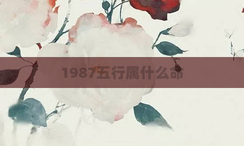 1987五行属什么命