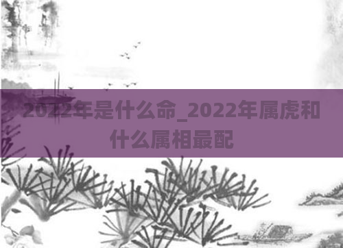 2022年是什么命_2022年属虎和什么属相最配