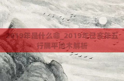 2019年是什么命_2019年己亥年五行属平地木解析