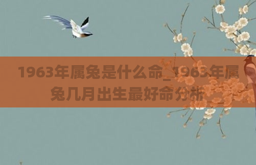1963年属兔是什么命_1963年属兔几月出生最好命分析