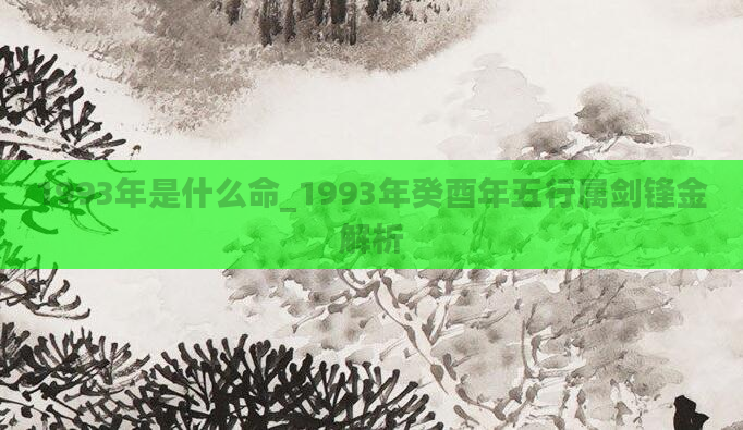 1993年是什么命_1993年癸酉年五行属剑锋金解析