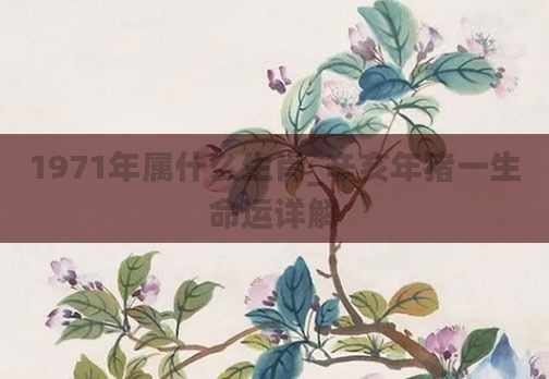 1971年属什么生肖_辛亥年猪一生命运详解