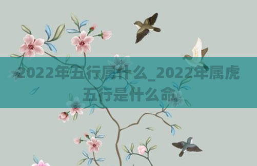 2022年五行属什么_2022年属虎五行是什么命
