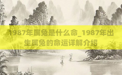 1987年属兔是什么命_1987年出生属兔的命运详解介绍