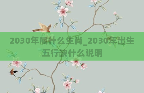 2030年属什么生肖_2030年出生五行缺什么说明