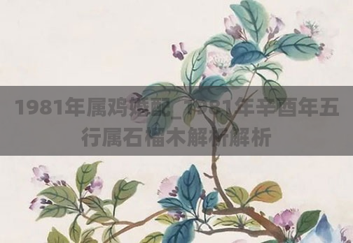 1981年属鸡婚配_1981年辛酉年五行属石榴木解析解析