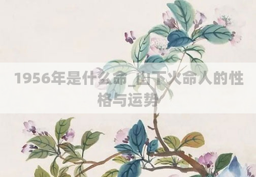 1956年是什么命_山下火命人的性格与运势