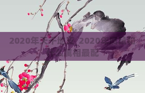 2020年天干地支_2020年属鼠和什么属相最配
