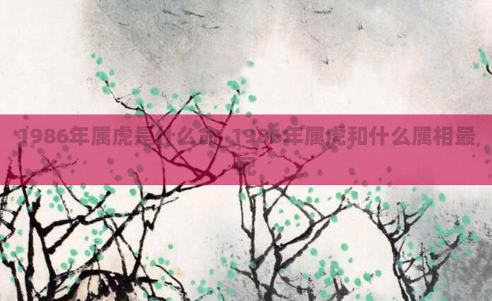 1986年属虎是什么命_1986年属虎和什么属相最配
