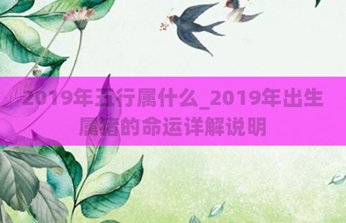 2019年五行属什么_2019年出生属猪的命运详解说明