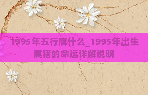 1995年五行属什么_1995年出生属猪的命运详解说明