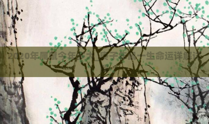 2020年属鼠今年多大_庚子年鼠一生命运详解详解
