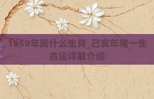 1959年属什么生肖_己亥年猪一生命运详解介绍