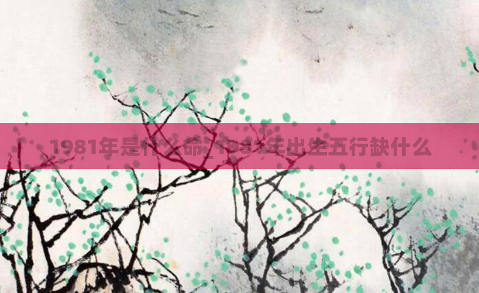 1981年是什么命_1981年出生五行缺什么