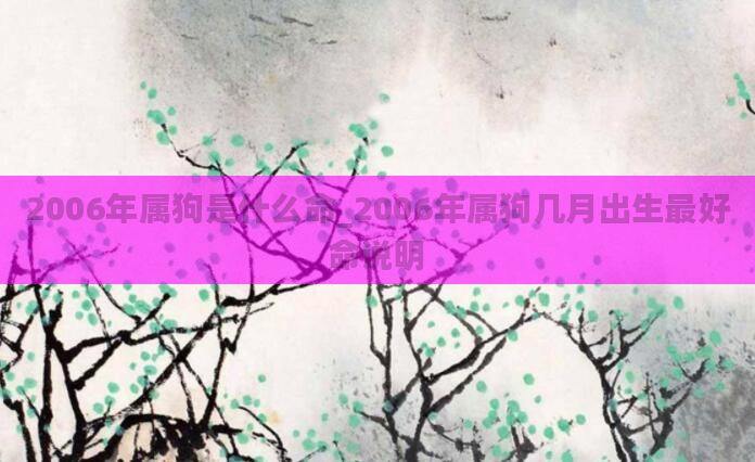 2006年属狗是什么命_2006年属狗几月出生最好命说明
