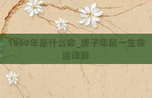1960年是什么命_庚子年鼠一生命运详解
