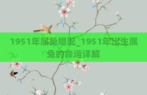1951年属兔婚配_1951年出生属兔的命运详解