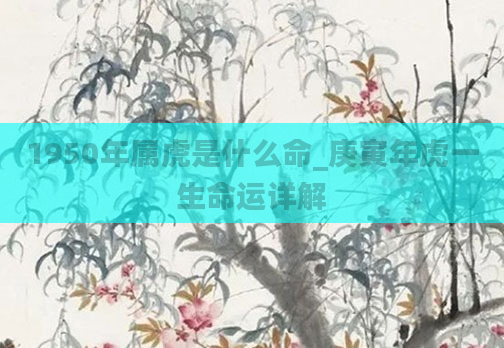 1950年属虎是什么命_庚寅年虎一生命运详解