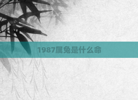 1987属兔是什么命
