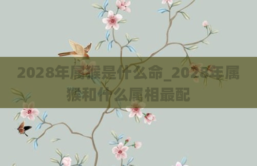 2028年属猴是什么命_2028年属猴和什么属相最配