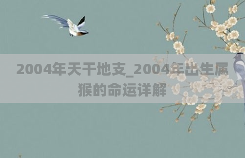2004年天干地支_2004年出生属猴的命运详解