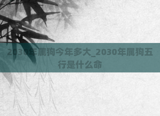 2030年属狗今年多大_2030年属狗五行是什么命