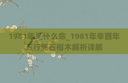 1981年是什么命_1981年辛酉年五行属石榴木解析详解