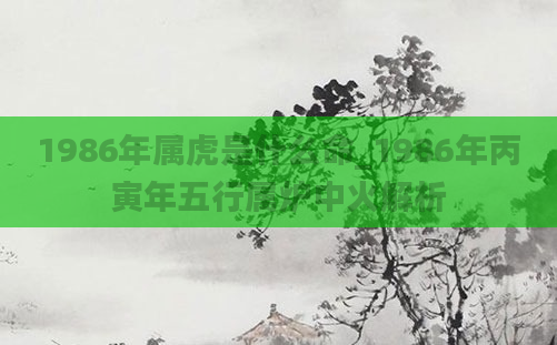 1986年属虎是什么命_1986年丙寅年五行属炉中火解析