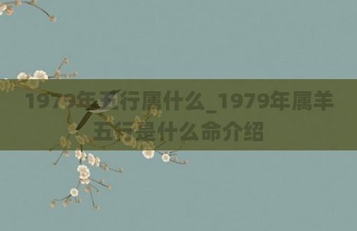 1979年五行属什么_1979年属羊五行是什么命介绍