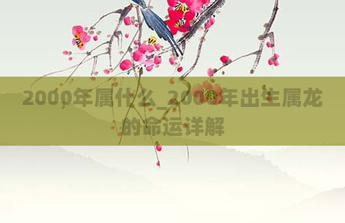 2000年属什么_2000年出生属龙的命运详解