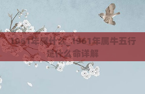 1961年属什么_1961年属牛五行是什么命详解