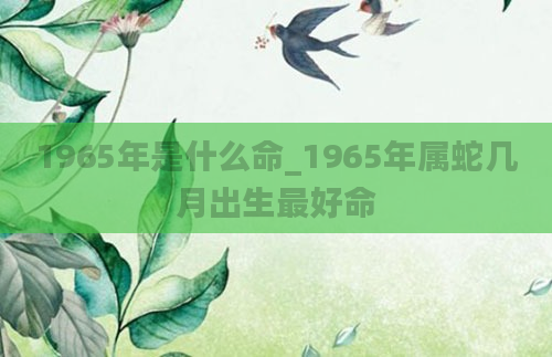 1965年是什么命_1965年属蛇几月出生最好命