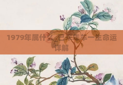 1979年属什么_己未年羊一生命运详解