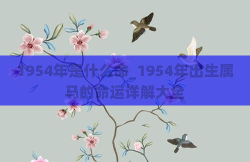 1954年是什么命_1954年出生属马的命运详解大全