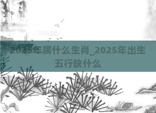 2025年属什么生肖_2025年出生五行缺什么