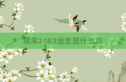 属羊2003出生是什么命