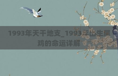 1993年天干地支_1993年出生属鸡的命运详解