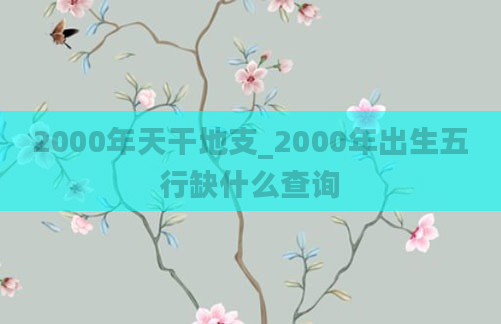 2000年天干地支_2000年出生五行缺什么查询