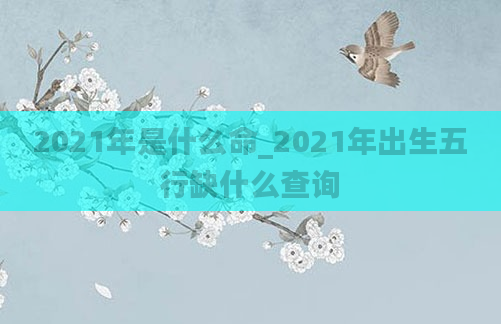 2021年是什么命_2021年出生五行缺什么查询