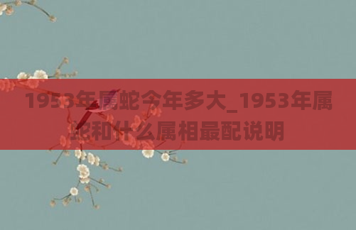 1953年属蛇今年多大_1953年属蛇和什么属相最配说明