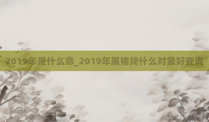 2019年是什么命_2019年属猪找什么对象好查询