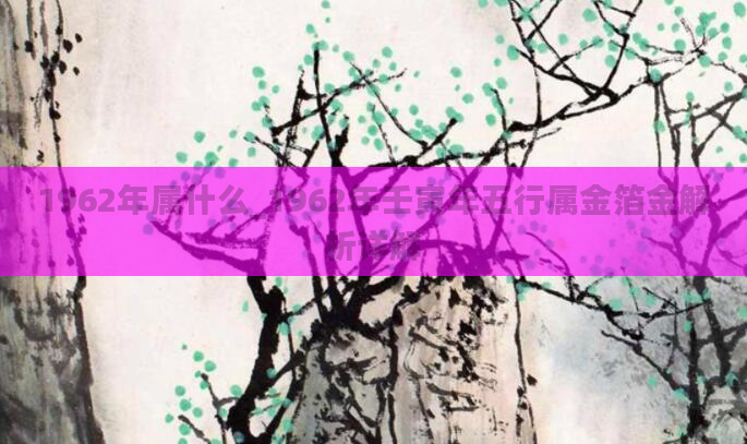 1962年属什么_1962年壬寅年五行属金箔金解析详解