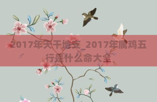 2017年天干地支_2017年属鸡五行是什么命大全