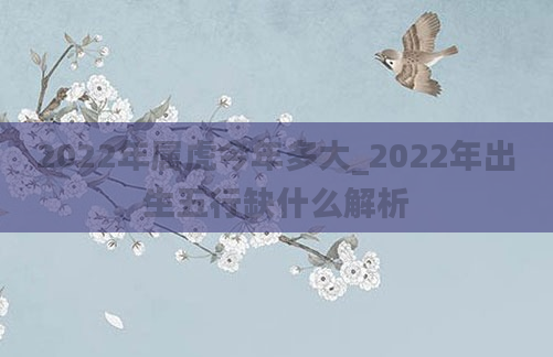 2022年属虎今年多大_2022年出生五行缺什么解析