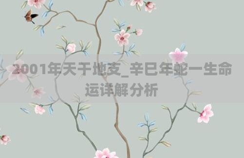 2001年天干地支_辛巳年蛇一生命运详解分析