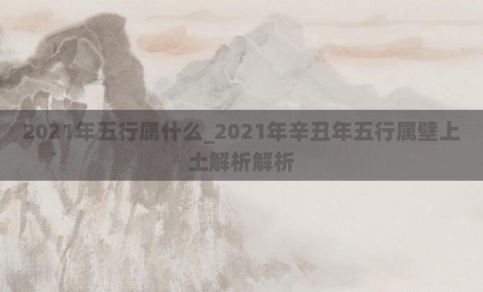 2021年五行属什么_2021年辛丑年五行属壁上土解析解析