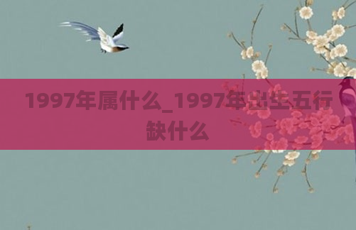 1997年属什么_1997年出生五行缺什么