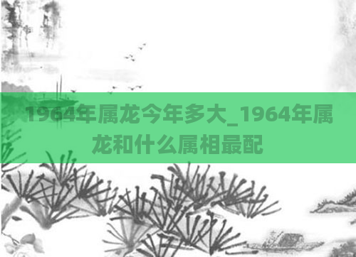 1964年属龙今年多大_1964年属龙和什么属相最配