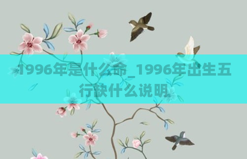 1996年是什么命_1996年出生五行缺什么说明