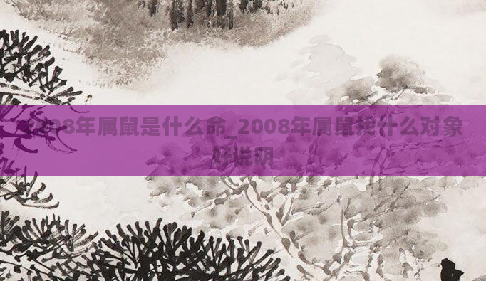 2008年属鼠是什么命_2008年属鼠找什么对象好说明